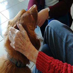 Grâce à la médiation animale le contact est facilité
