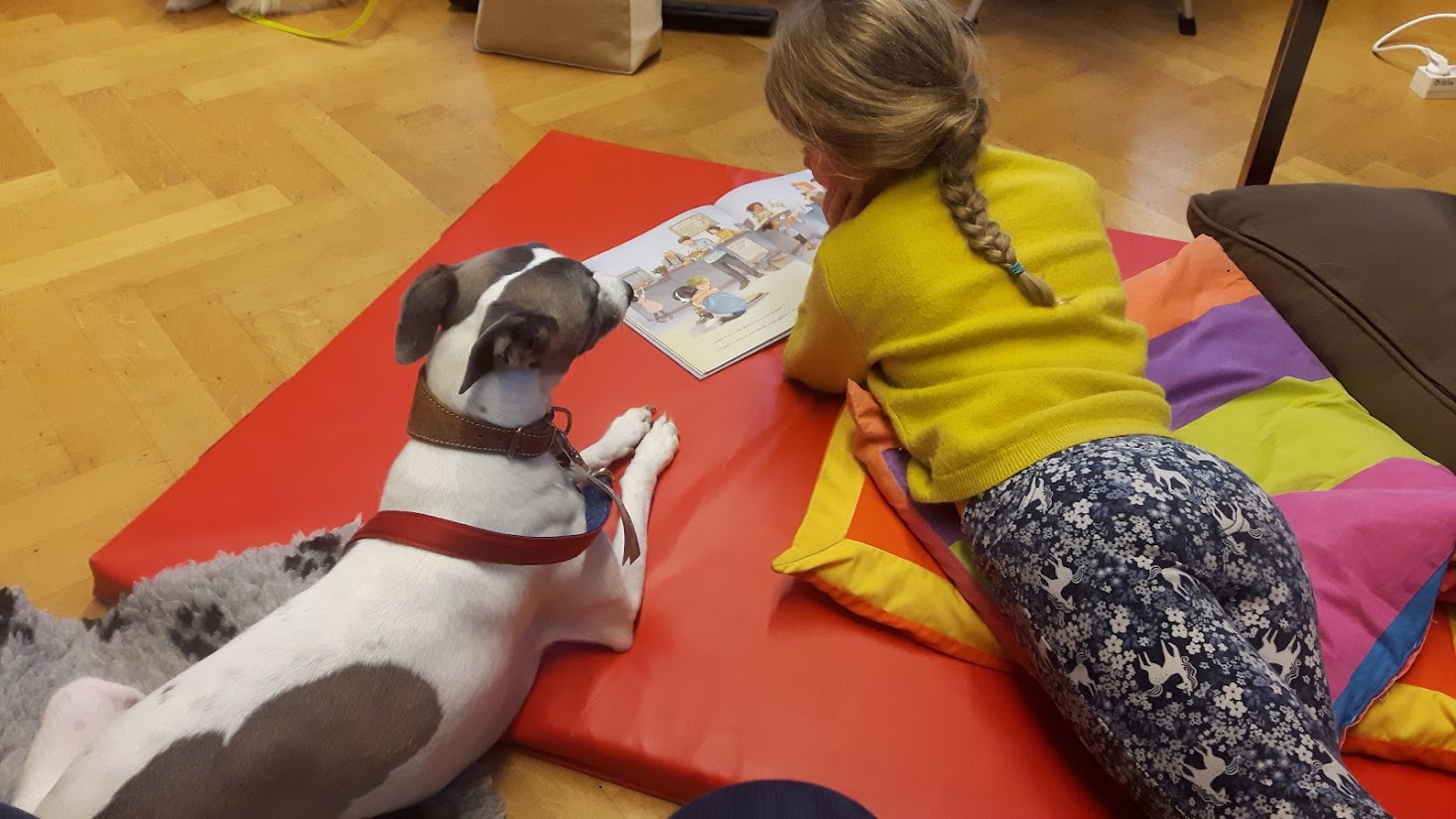 Publics : pourquoi ne pas lire à un chien
